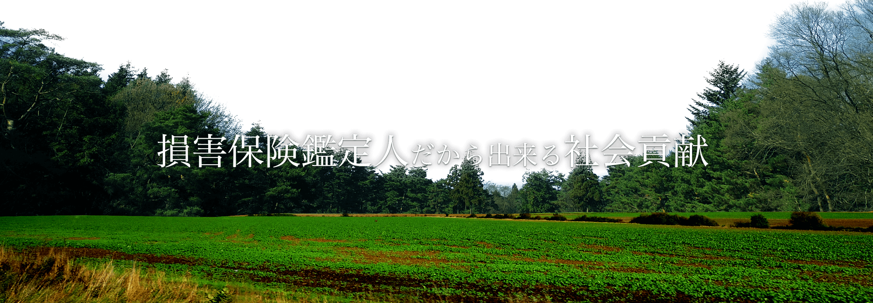 損害保険鑑定人だから出来る社会貢献